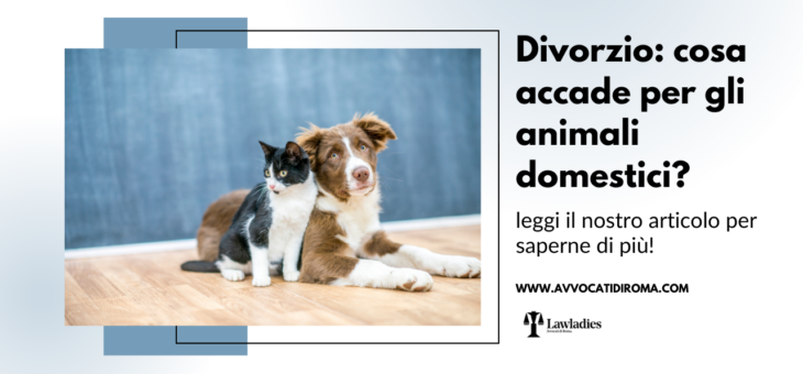 Divorzio: cosa accade per gli animali domestici?
